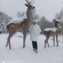  ,   , 51 ,     , 