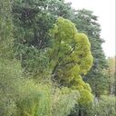  ,   , 73 ,   ,   