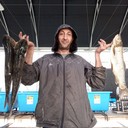 ���������� ����, ���� ������� Kamil, 50 ���, ������������ ��� ������, ����� � ���������, c�������� ���������