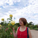 ���������� �����-���������, ���� ������� �����, 54 ����, ������������ ��� ����� � ���������, c�������� ���������