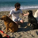 ���������� �����-���������, ���� ������� ����, 39 ���, ������������ 