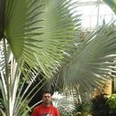 ,   Sawa, 40 ,   ,   , c 