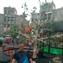 ���������� ��������, ���� ������� ������, 35 ���, ������������ ��� ������, ����� � ���������, c�������� ���������