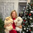 ���������� �����, ���� ������� ������, 44 ����, ������������ ��� ������, ����� � ���������, c�������� ���������, ���������