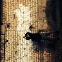 ���������� ������, ���� ������� ������������, 29 ���, ������������ ��� ����� � ���������, c�������� ���������