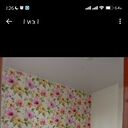 ���������� �����-���������, ���� ������� ������, 22 ����, ������������ ��� ������, ����� � ���������