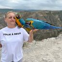 ���������� ���������, ���� ������� �������, 44 ����, ������������ ��� ����� � ���������, c�������� ���������, ���������