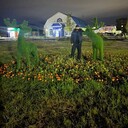 ���������� ����� �������, ���� ������� SHAMIL, 27 ���, ������������ ��� ������, ����� � ���������