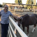  ,   Garik, 60 ,   ,   , c 