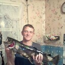 ���������� �����-���������, ���� ������� ����, 40 ���, ������������ ��� ������, ����� � ���������, c�������� ���������