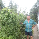  ,   , 63 ,   ,   , c 