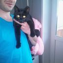 ���������� ������, ���� ������� ����, 40 ���, ������������ ��� ������