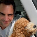 ���������� ������, ���� ������� ������, 61 ���, ������������ ��� ������, ����� � ���������, c�������� ���������, ���������