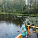 ���������� �����-���������, ���� ������� �����, 56 ���, ������������ ��� c�������� ���������