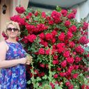 ���������� �����-���������, ���� ������� Alexandra, 42 ����, ������������ ��� c�������� ���������