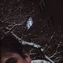 ���������� �������, ���� ����� ����, 25 ���, ������������ ��� ������, ����� � ���������, c�������� ���������