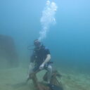 ���������� ������, ���� ������� �����, 36 ���, ������������ ��� ������, ����� � ���������