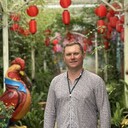 ���������� ����, ���� ������� �������, 37 ���, ������������ ��� c�������� ���������