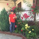  ,   , 58 ,   ,   