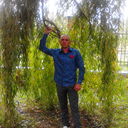  ,   , 39 ,   