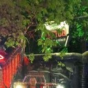 ���������� ������, ���� ������� �������, 39 ���, ������������ ��� ������, ����� � ���������