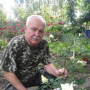   ,   , 72 ,   ,   , c 