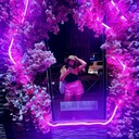 ���������� ���������, ���� ������� ���������, 30 ���, ������������ 