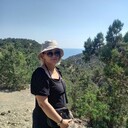 ���������� ������, ���� ������� �����, 56 ���, ������������ ��� ������, ����� � ���������