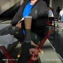   ,   , 44 ,   ,   , c 