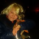 ���������� �����, ���� ������� ������, 31 ���, ������������ ��� ������, ����� � ���������, c�������� ���������