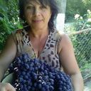  ,   , 55 ,   ,   