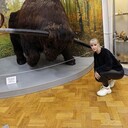 ���������� ���������, ���� ������� Lina, 43 ����, ������������ ��� ����� � ���������, c�������� ���������, ���������