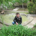  ,   Graf, 43 ,   ,   , c 