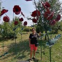  ,   , 67 ,   c 