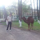  ,   , 43 ,   