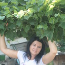 ���������� ���������, ���� ������� ����, 48 ���, ������������ ��� ����� � ���������, c�������� ���������