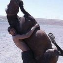 ���������� ������, ���� ������� Almaz, 36 ���, ������������ ��� ������, ����� � ���������, c�������� ���������, ���������