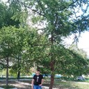 ���������� ����������, ���� ������� �����, 42 ����, ������������ ��� ������, ����� � ���������, c�������� ���������