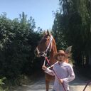 ���������� �����������, ���� ������� �����, 33 ����, ������������ ��� ������, ����� � ���������