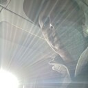 ���������� �����-���������, ���� ������� ����������, 48 ���, ������������ ��� ������, ����� � ���������, c�������� ���������, ���������