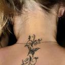 ���������� ������, ���� ������� �������, 33 ����, ������������ ��� ������