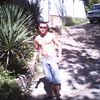  ,   Miwa, 37 ,   ,   , c 