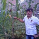  ,   SOBIR, 43 ,   