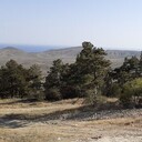 ���������� �����, ���� ������� ������, 46 ���, ������������ ��� ������, ����� � ���������, c�������� ���������, ���������