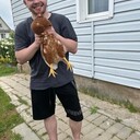 ���������� �����-���������, ���� ����� ������, 24 ����, ������������ ��� ������, ����� � ���������