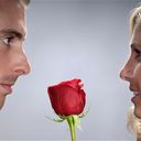  ,   ORXAN, 35 ,   ,   , c 