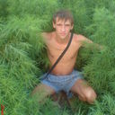   ,   Tarasik, 33 ,     , c 