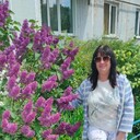  ,   , 53 ,   c 