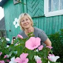 ���������� �������� ���, ���� ������� �������, 43 ����, ������������ ��� ����� � ���������, c�������� ���������