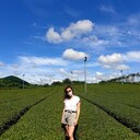 ���������� ������, ���� ������� �����, 24 ����, ������������ ��� ����� � ���������, ���������